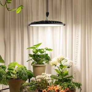 Balcony Green Plants & Succulents Full Spectrum Simulated Sunlight Grow Light | Indoor Bougainvillea Plant Greenhouse LED Grow Lamp